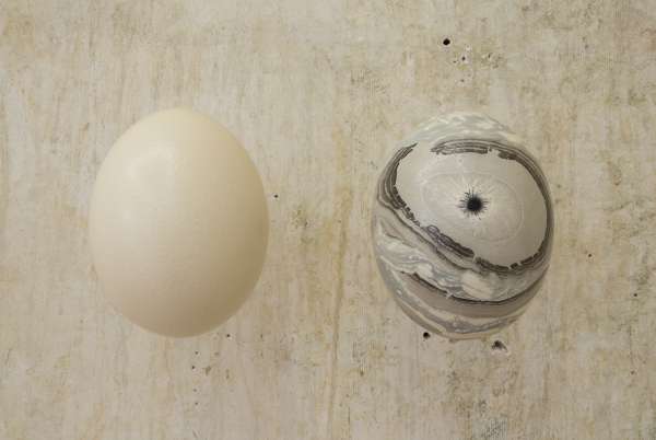 MONSTER & MONSTER IX